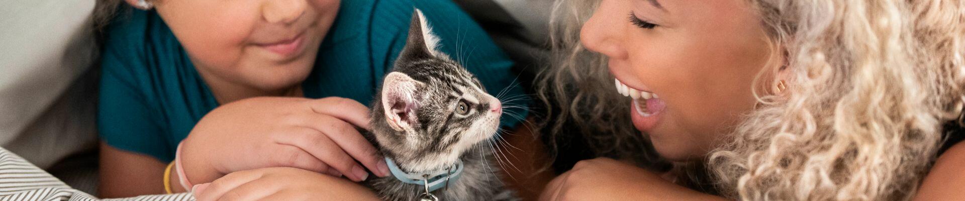 girls cuddle kitten under blanket header