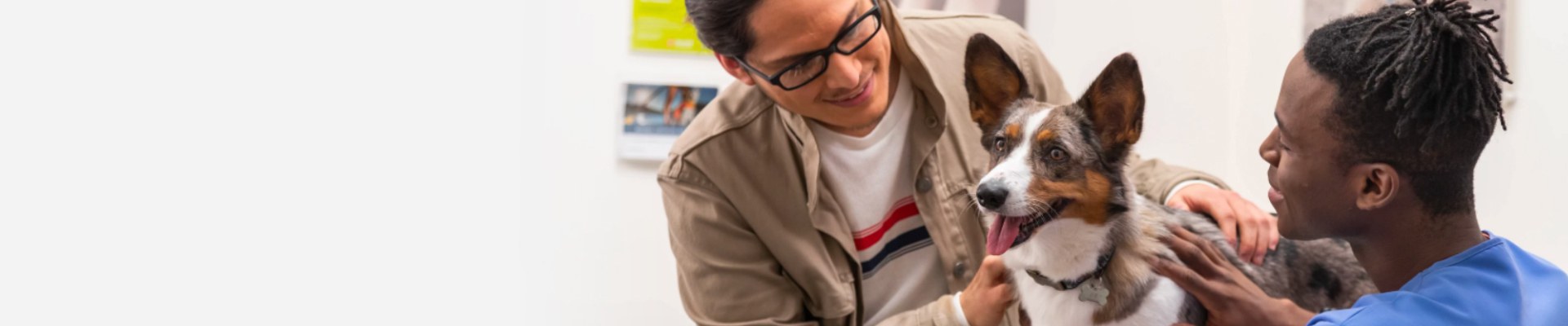 Banfield associate providing preventive care to a puppy