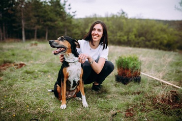 a dog holding a bone