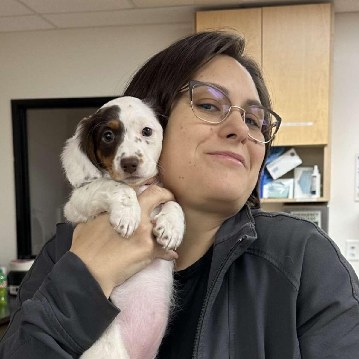 Profile picture of Effie Drosos, Practice Manager