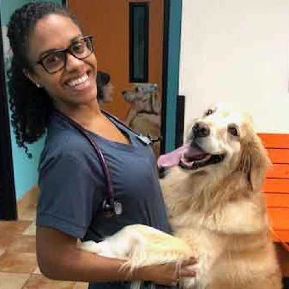 Profile picture of Kelsey Heron, DVM, Veterinarian