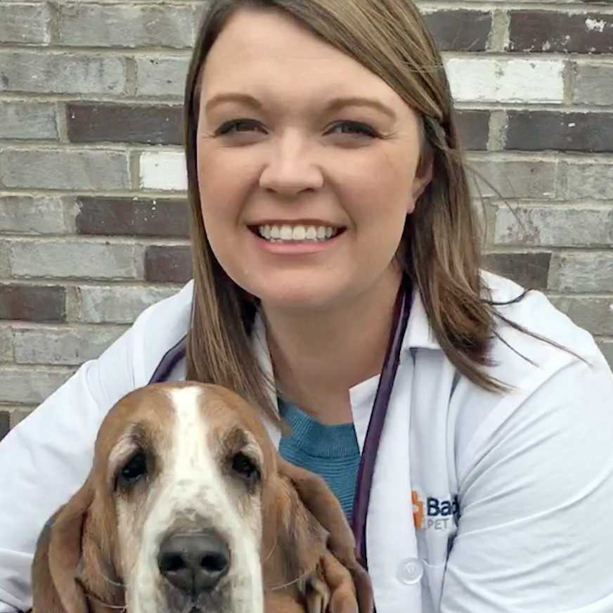 Profile picture of Melissa Sawyers, DVM, Veterinarian