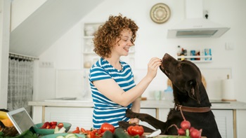 A CVT greeting a dog and their owner