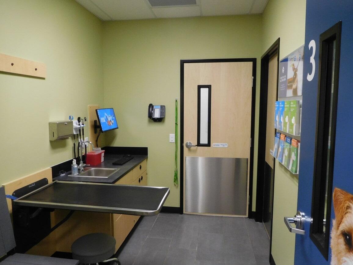 Banfield Pet Hospital: Chandler Riggs Rd exam room