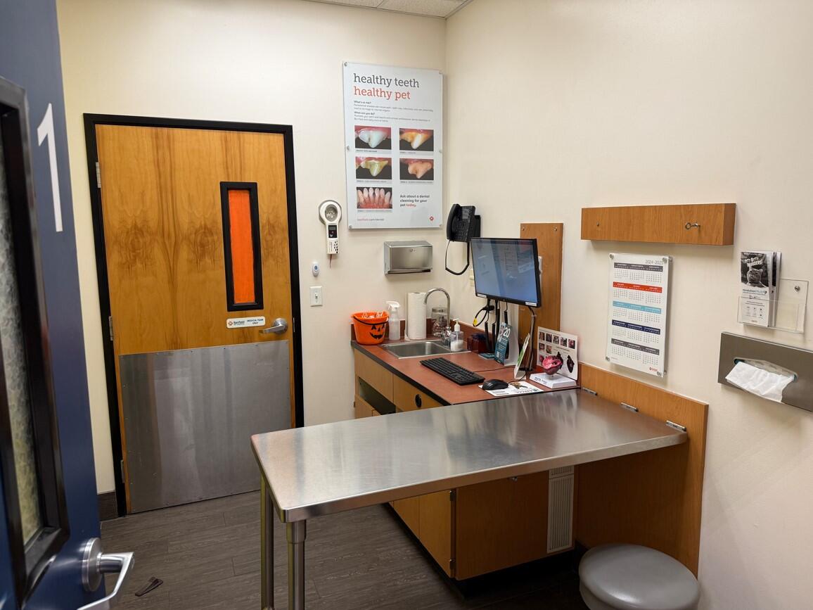 Banfield Pet Hospital: Gilbert E exam room