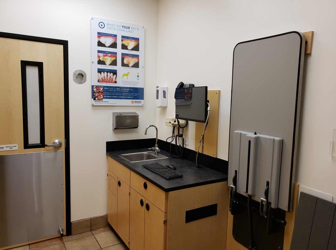 Aurora S inside of the exam room