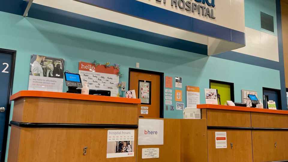 The interior lobby of the Peachtree hospital