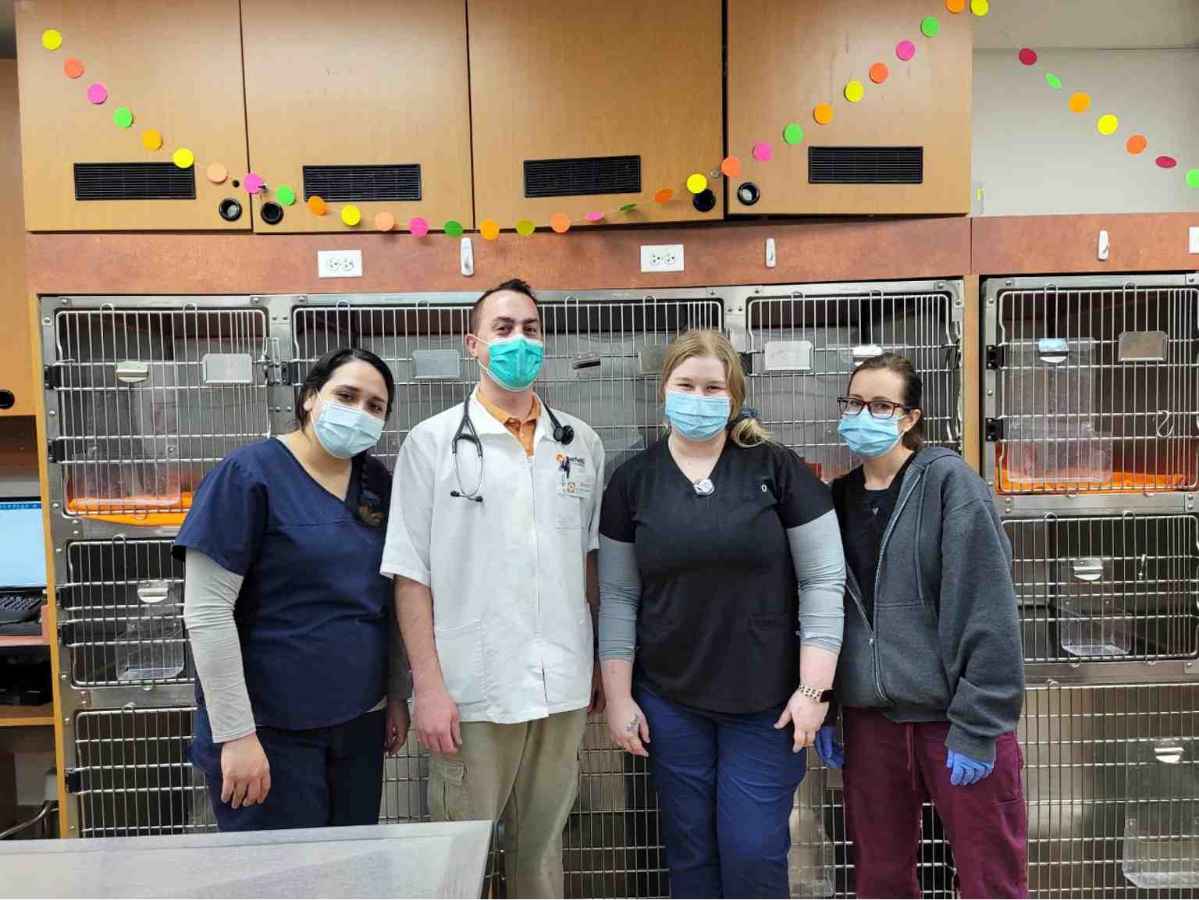 A group of Banfield Associates at the Banfield Pet Hospital