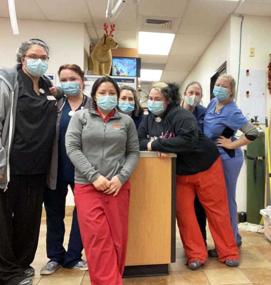 A group of Banfield Associates at the Banfield Pet Hospital