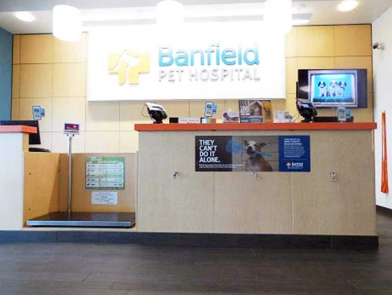 The front desk of the Banfield Pet Hospital