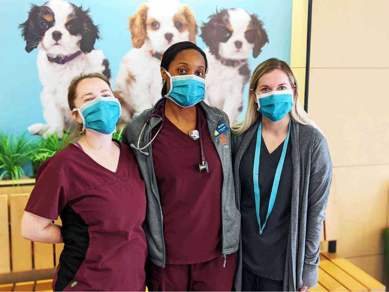 Three Banfield Veterinarians