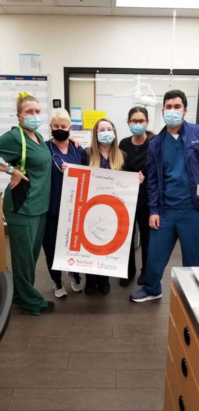 A group of associates at the Banfield Pet Hospital, Bee Cave, TX