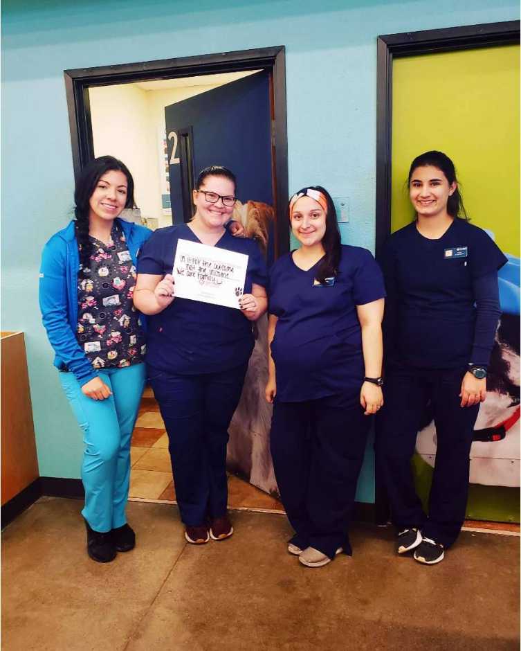 A group of associates at the Banfield Pet Hospital, Houston E, TX