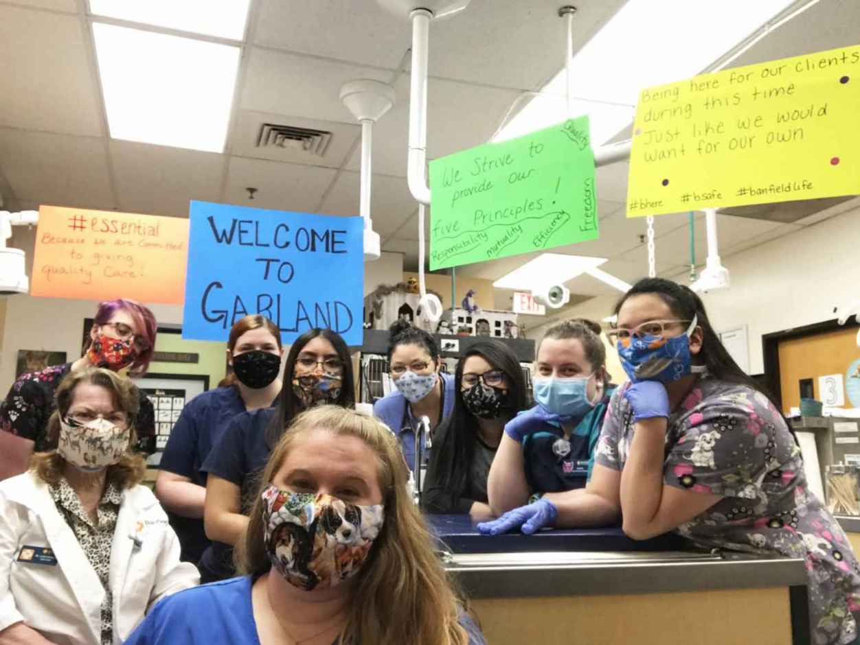 A group of associates at the Banfield Pet Hospital, Garland, TX