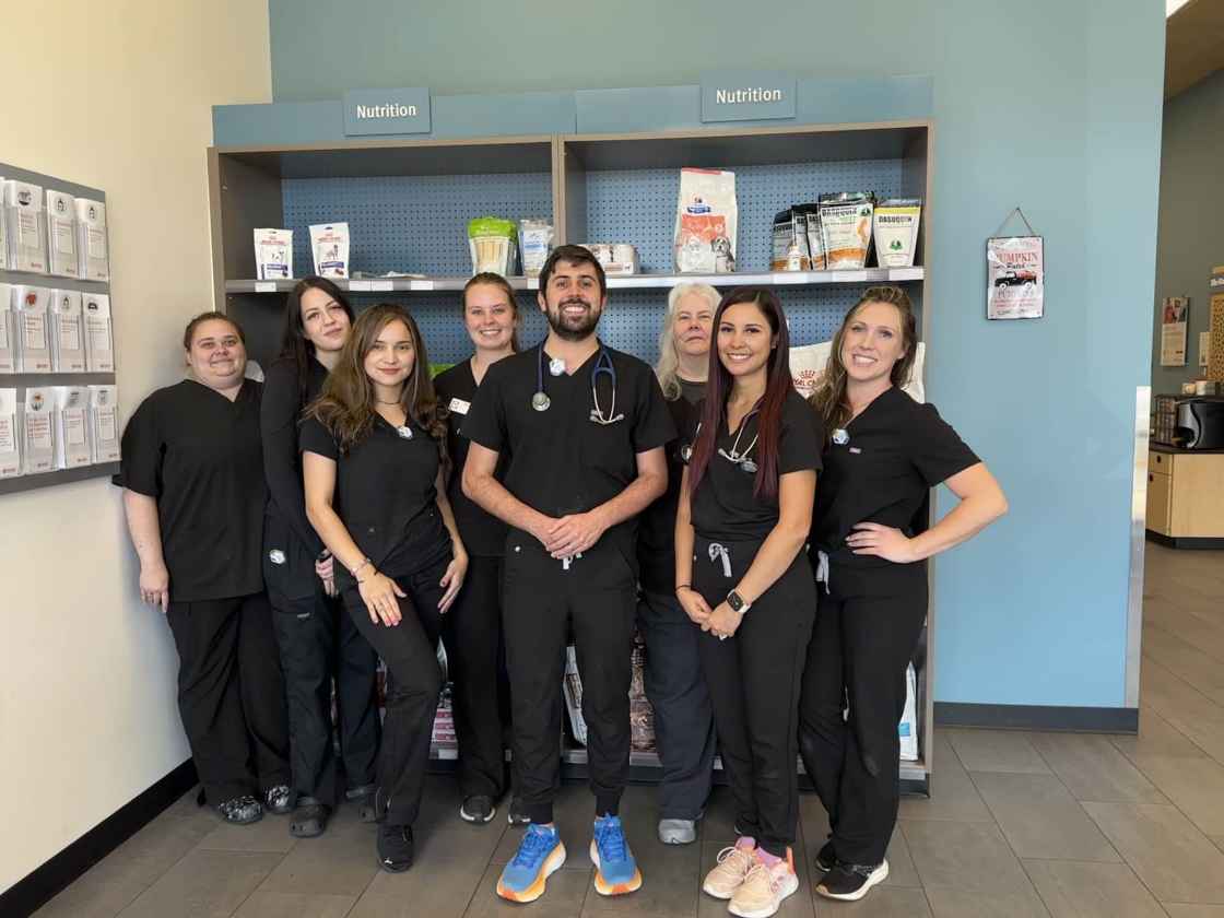 The Chantilly Greenbriar location staff