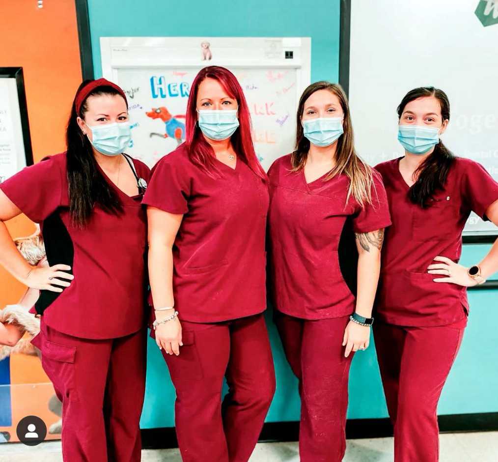 A group of associates at the Banfield Pet Hospital