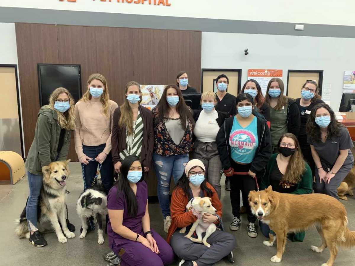 Team photo at Vancouver E