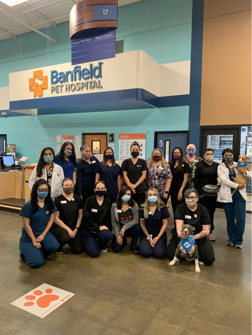 A group of Banfield Associates at the Banfield Pet Hospital